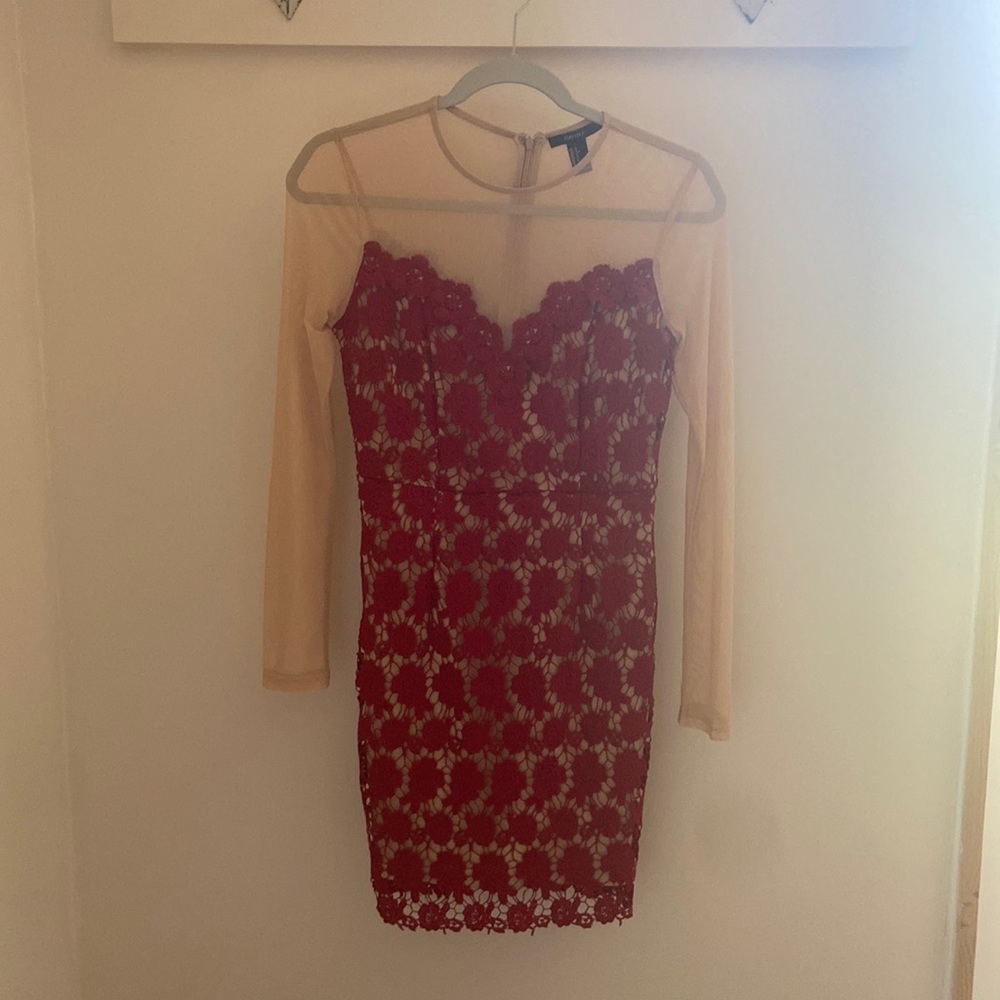 Beautiful sheer dress with red flower embroidery detailing mini dress